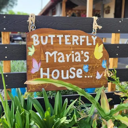 Apartment Housebutterfly *