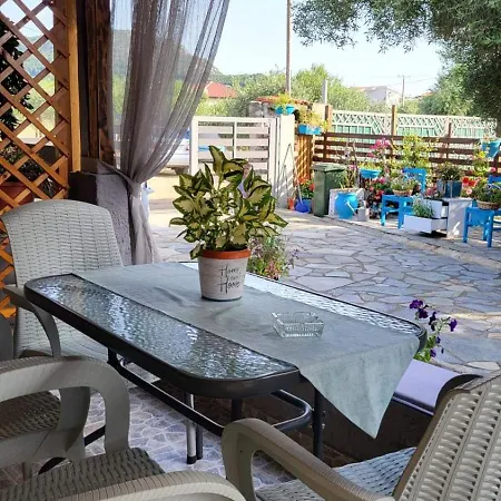 Apartment Housebutterfly Toroni