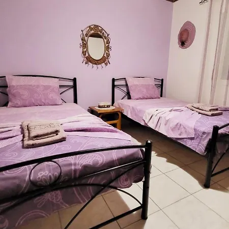 Housebutterfly Toroni